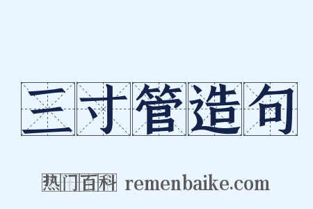 三寸管造句是什么意思的图片